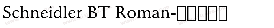 Schneidler BT Roman字体转换